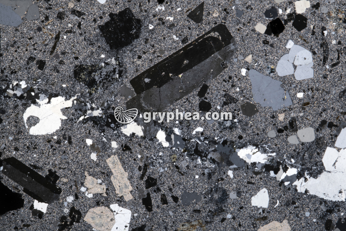 Trachyte - Trachyandésite (Q481) LPA x 1,6 - gryphea.com